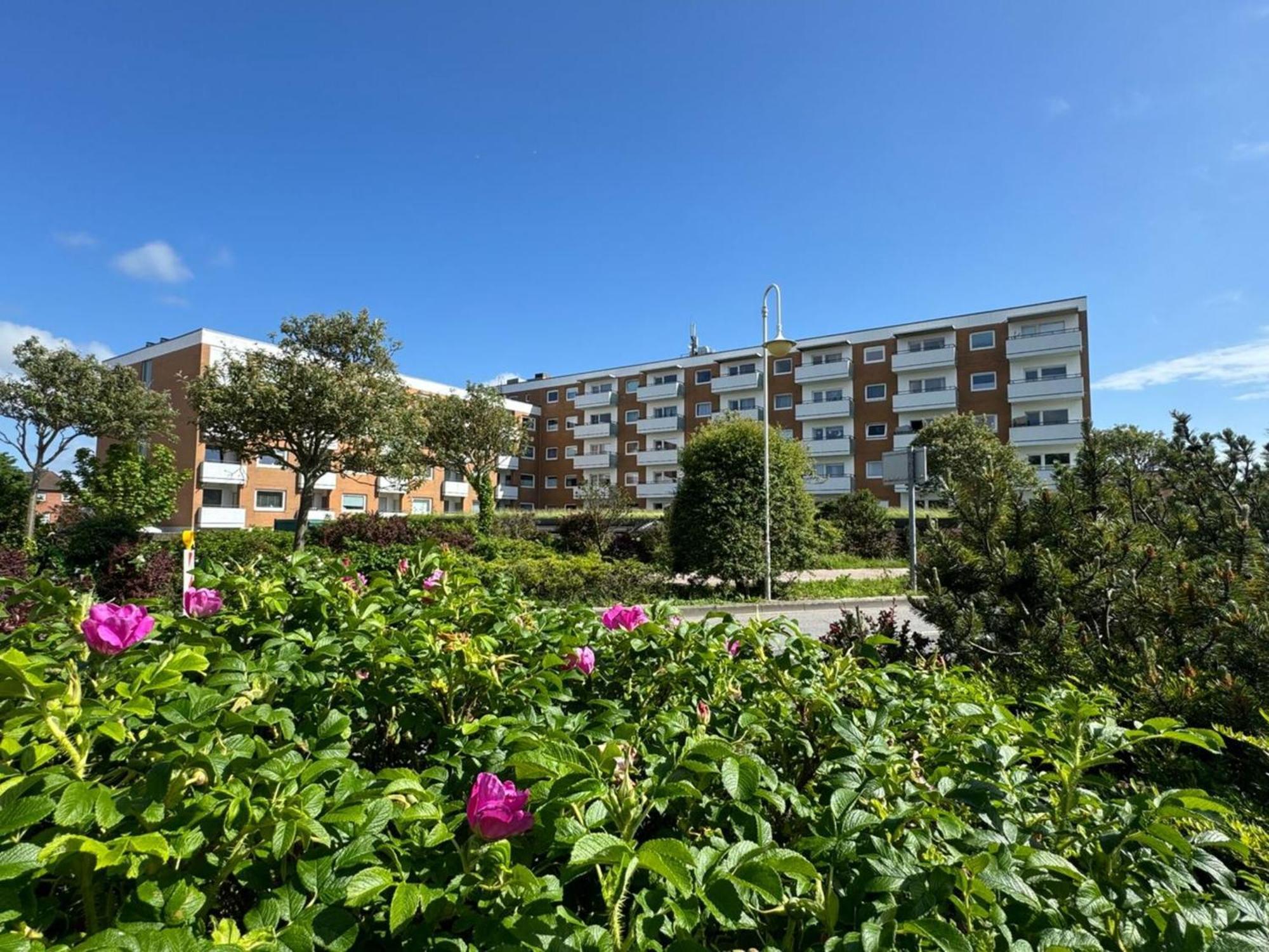Im Haus Nordland Nordland, App 25 Hund Apartment *